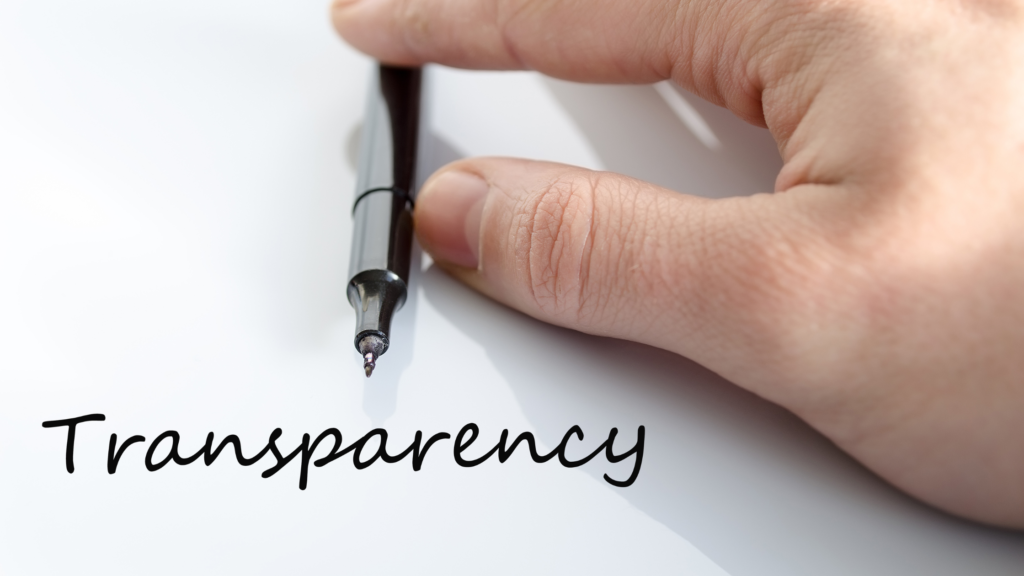 Very transparent agency with friendly budget price